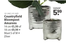 bloempost amarens
