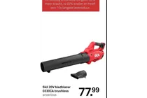 20v bladblazer