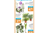 ah air so pure planten