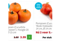 pompoen
