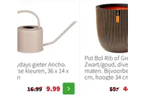 pot bol rib of gro