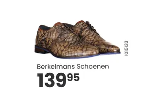 herenschoenen