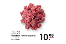 holstein runderstoverij