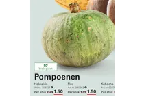 hokkaido pompoen