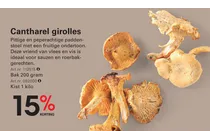 cantharel girolles
