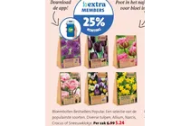 bloembollen bestsellers