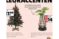 plantenarrangement