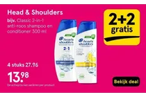 classic 2 in 1 anti roos shampoo en conditioner