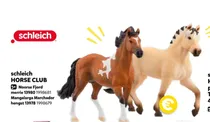 mangalarga marchador hengst
