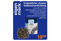 trekpleister cluster ledkerstverlichting