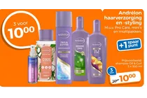 coco curl creation shampoo