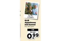 appelmoes met kaneel