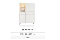 bergkast
