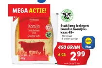 stuk jong belegen goudse komijne kaas 48