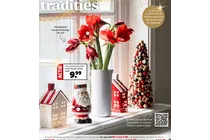 amaryllis