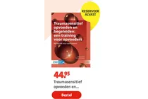 traumasensitief opvoeden en begeleiden