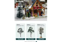 mountain pine l