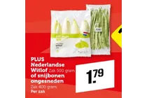 nederlandse witlof