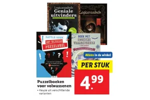logicaraadsels middeleeuwen
