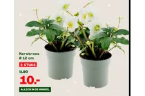 kerstroos