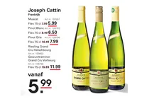 pinot blanc