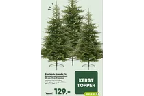 everlands grandis fir kunstkerstboom