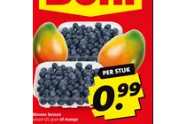 blauwe bessen en mango
