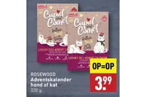 adventskalender kat