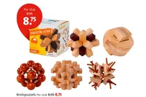 breinpuzzel