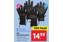 ski handschoenen