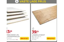 gnes wand en lafondpanelen