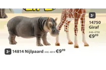 nijlpaard