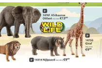 afrikaanse olifant