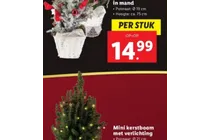 kerstboom in mand