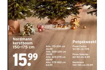 potgekweekte nordmann
