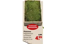 platmos
