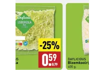 ijsbergsla fijn