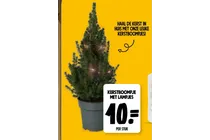 kerstboompje met lampjes