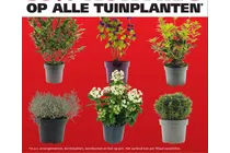 tuinplant 1