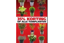 tuinplant 4