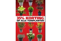 tuinplant 10