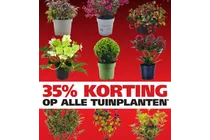 tuinplant