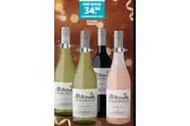 shiraz rose