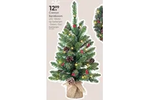 creston kerstboom
