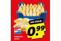 hollandse witlof