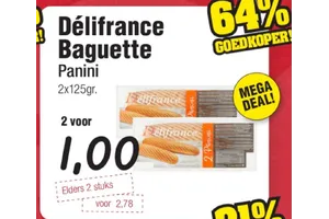 baguette panini