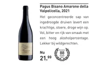 pagus bisano amarone della valpolicella