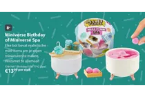 miniverse birthday of miniverse spa