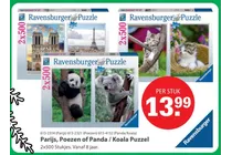 parijs poezen of panda koala puzzel