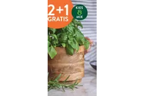kruidenmix